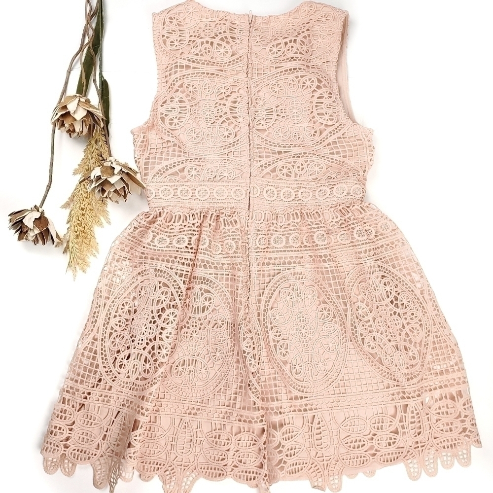 New Francesca Miami Pink Eylet Embroidered Dress M - Picture 2 of 14